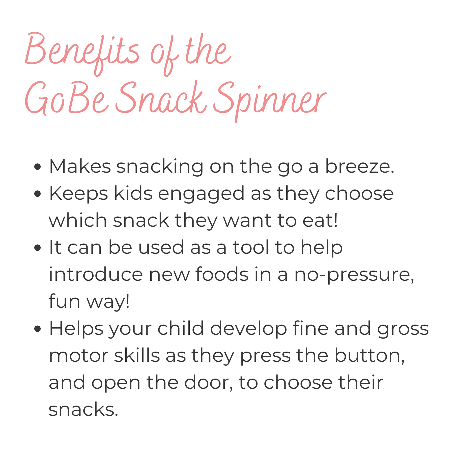Large Snack Spinner Care Instructions 